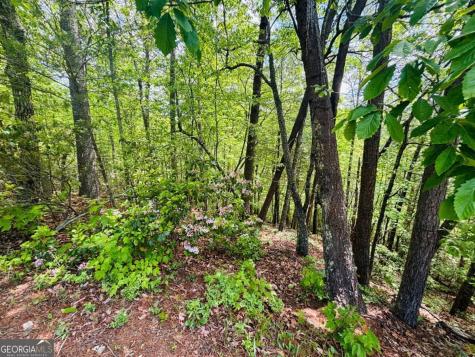 0 Rosen Strasse - Lot 141 Helen GA 30545
