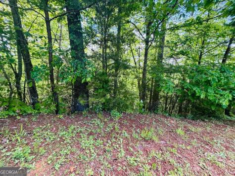 0 Rosen Strasse - Lot 141 Helen GA 30545