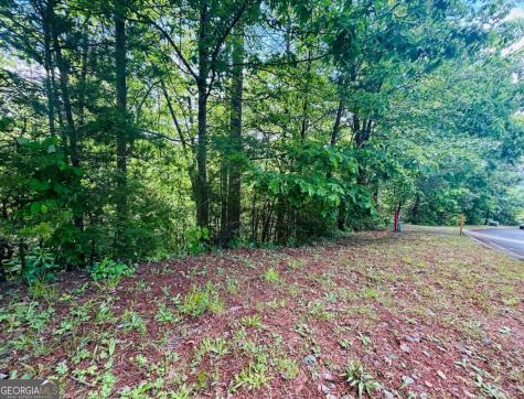 0 Rosen Strasse - Lot 141 Helen GA 30545