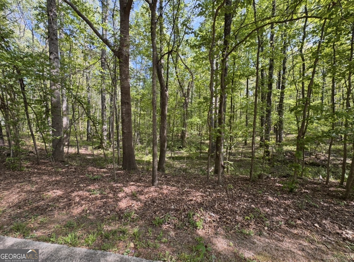 140 Emerald Lane Fayetteville GA 30214