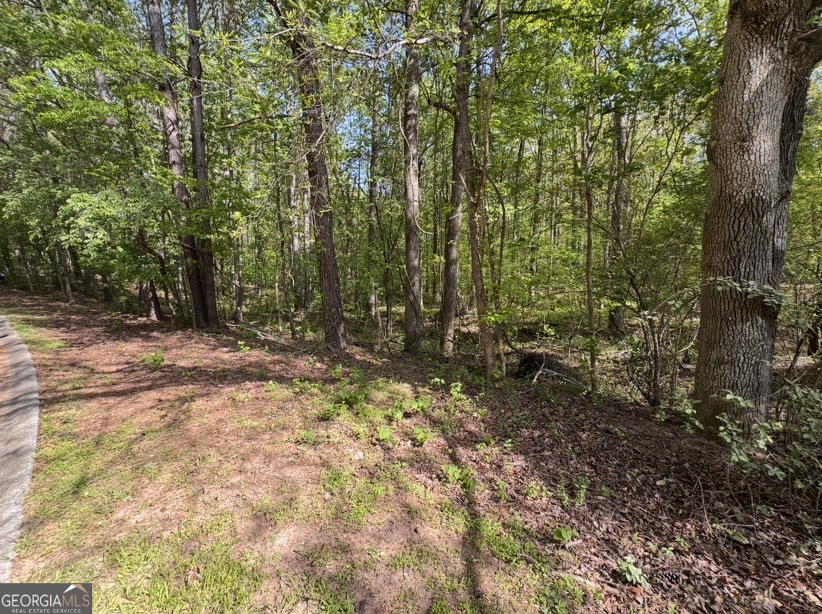 140 Emerald Lane Fayetteville GA 30214