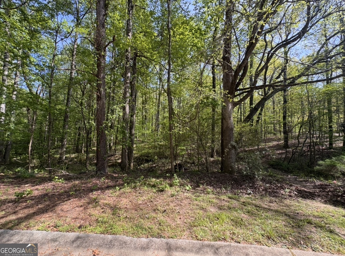 140 Emerald Lane Fayetteville GA 30214
