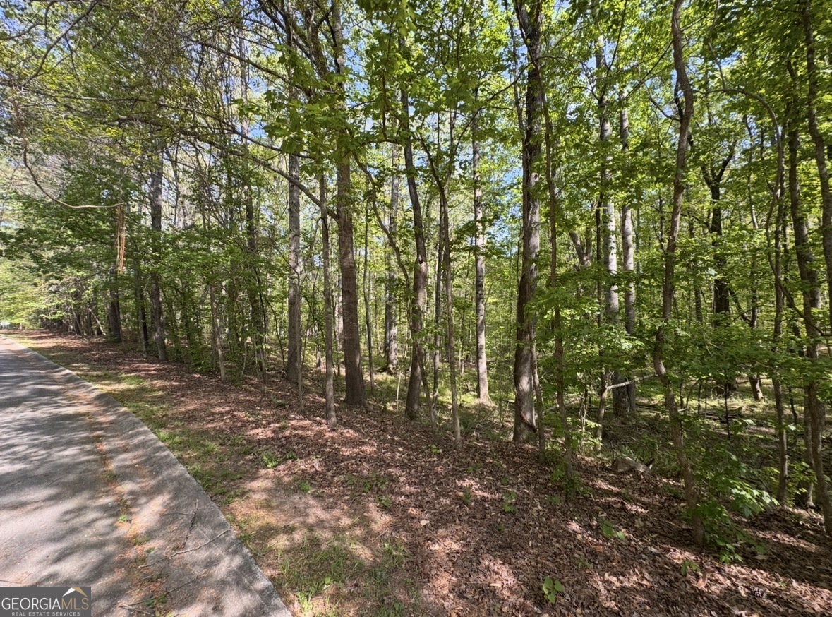 140 Emerald Lane Fayetteville GA 30214