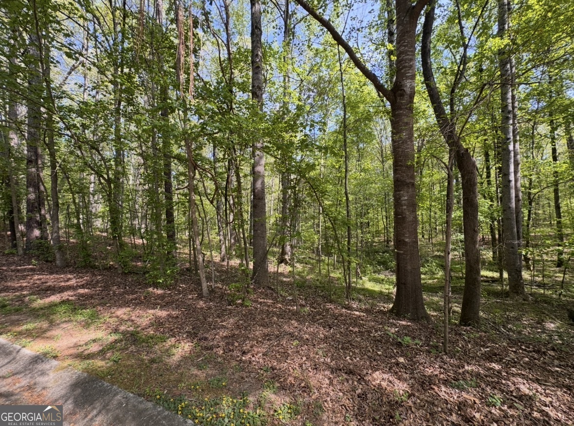140 Emerald Lane Fayetteville GA 30214