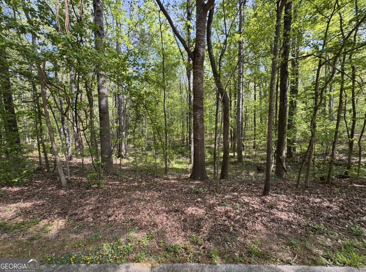 140 Emerald Lane Fayetteville GA 30214