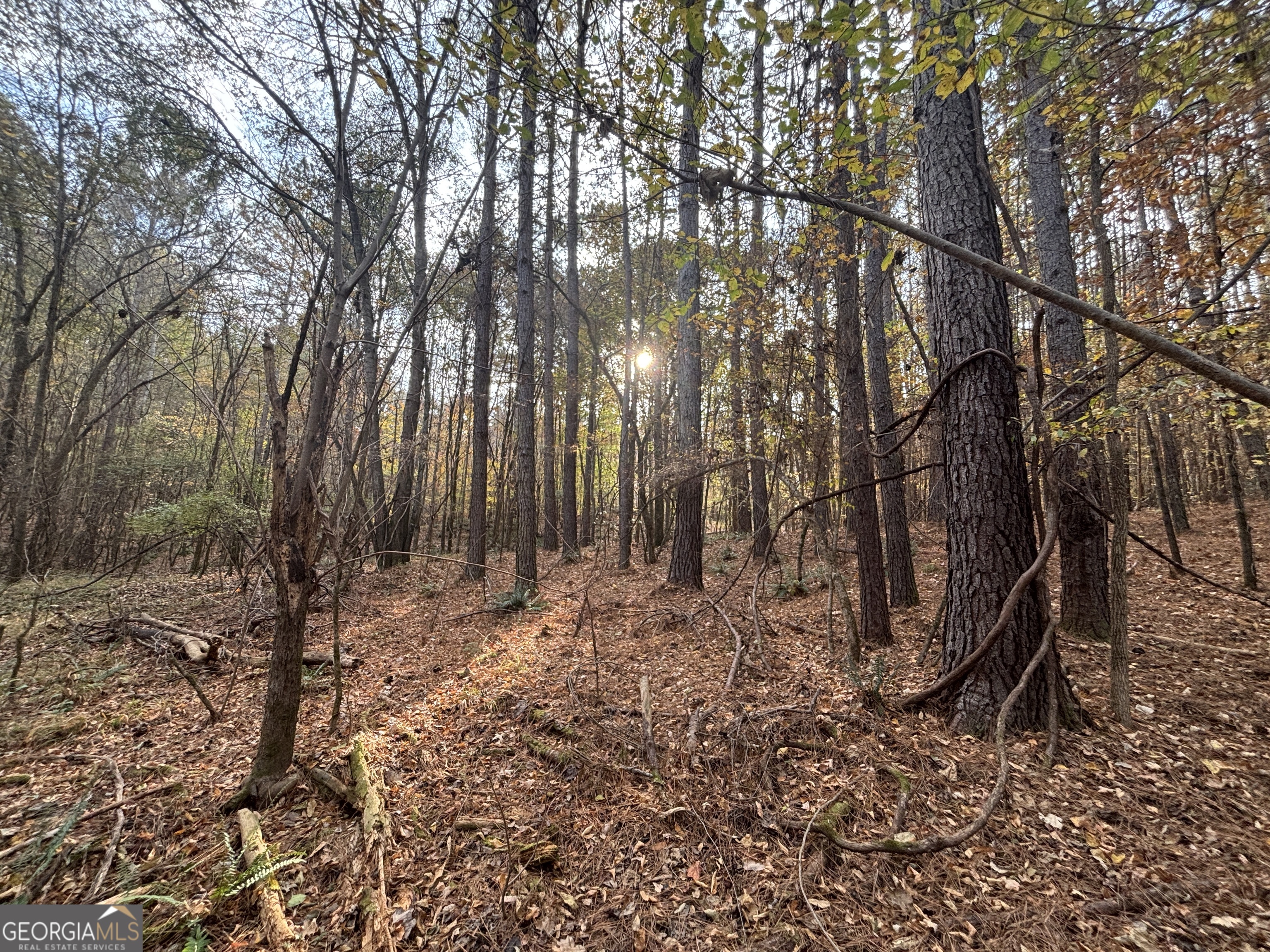 0 Oconee Road Lot 4 Buckhead GA 30625