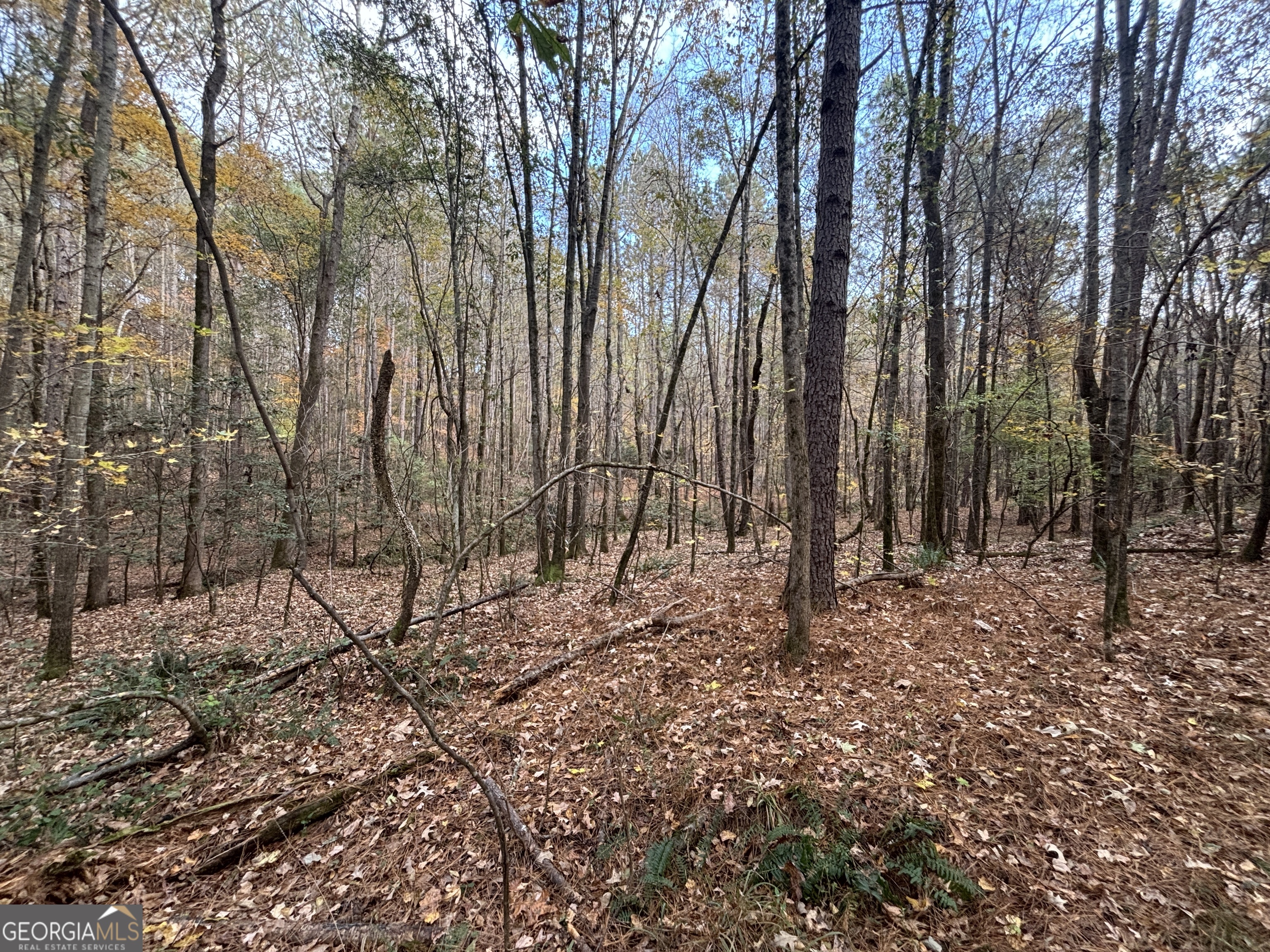 0 Oconee Road Lot 4 Buckhead GA 30625
