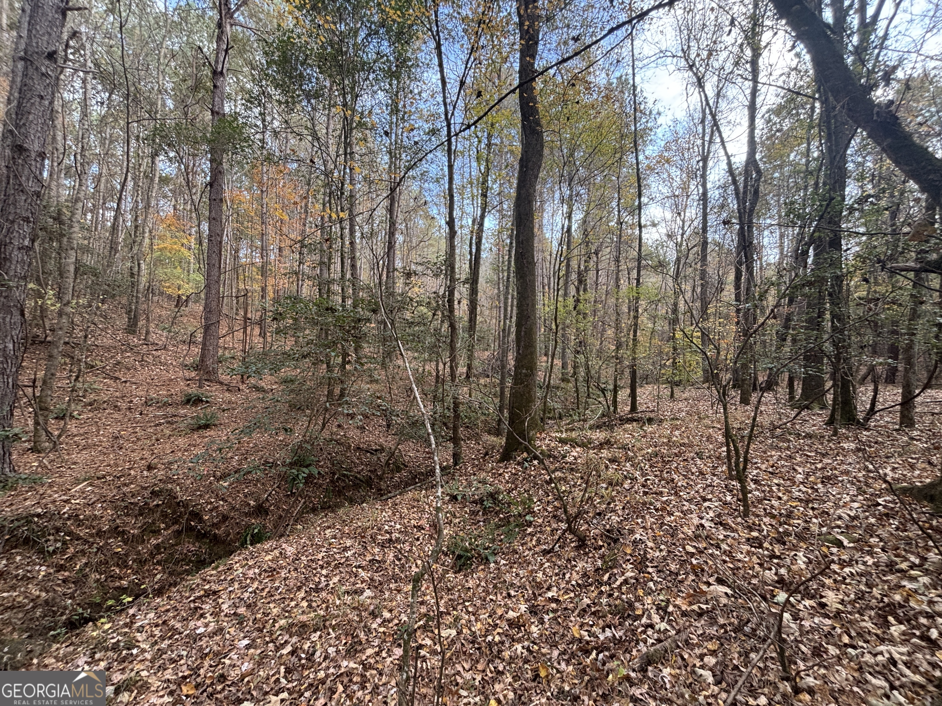 0 Oconee Road Lot 4 Buckhead GA 30625