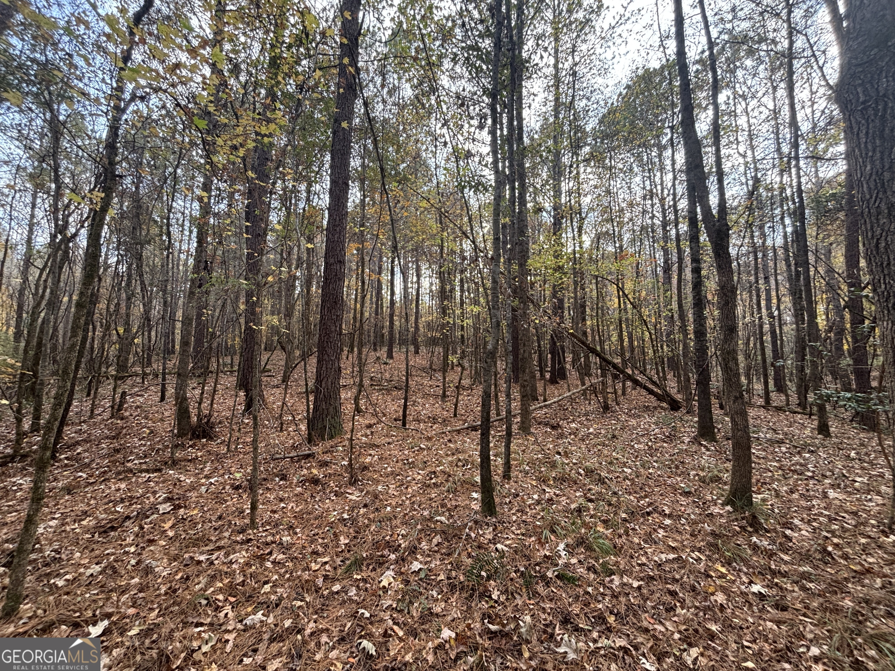 0 Oconee Road Lot 4 Buckhead GA 30625