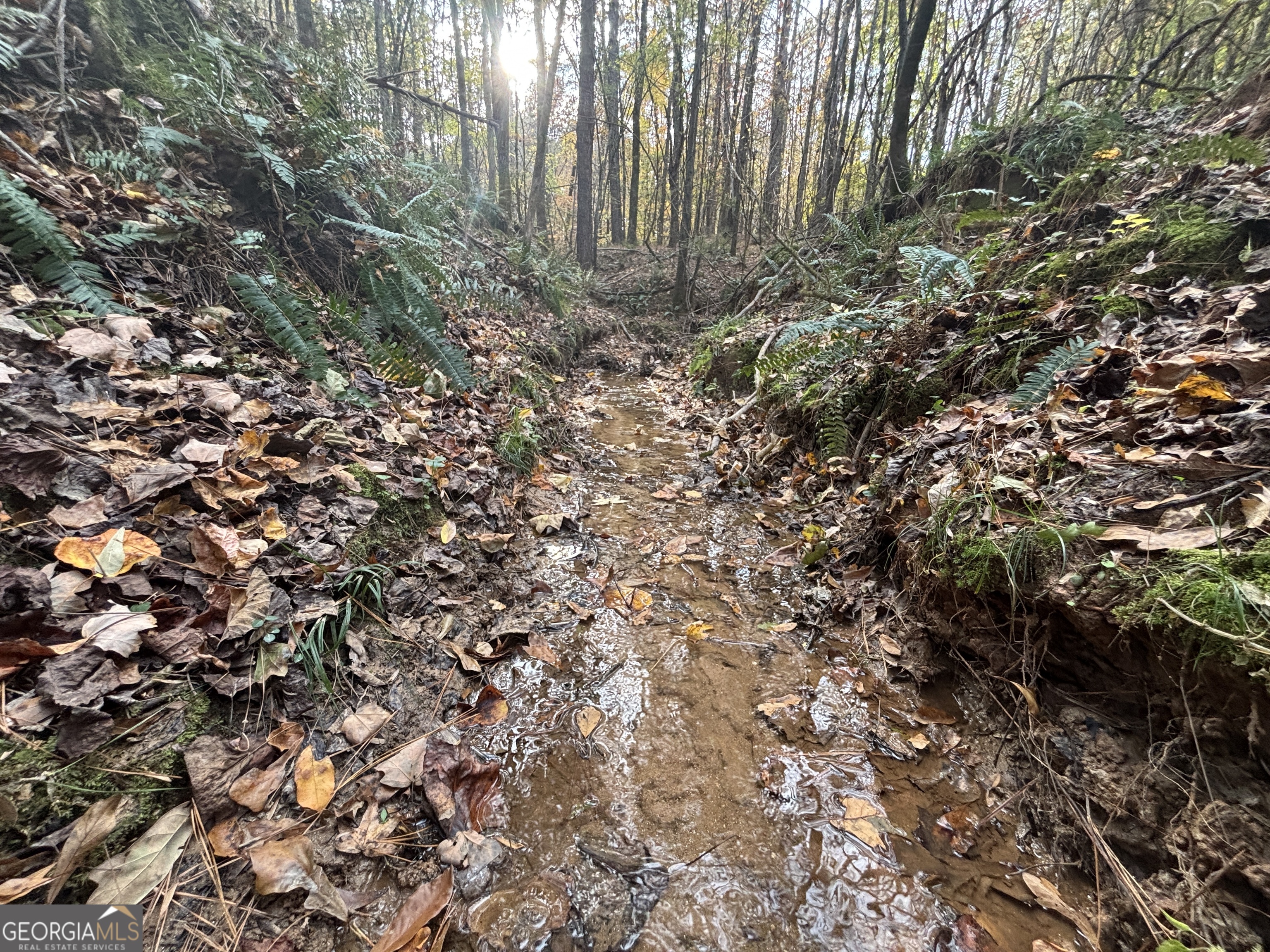 0 Oconee Road Lot 4 Buckhead GA 30625