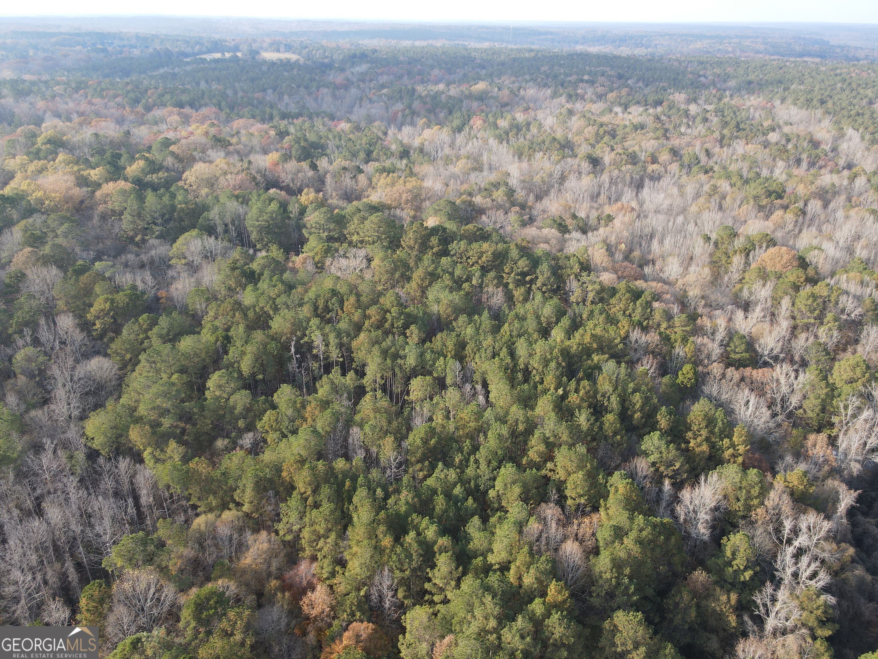 0 Oconee Road Lot 4 Buckhead GA 30625