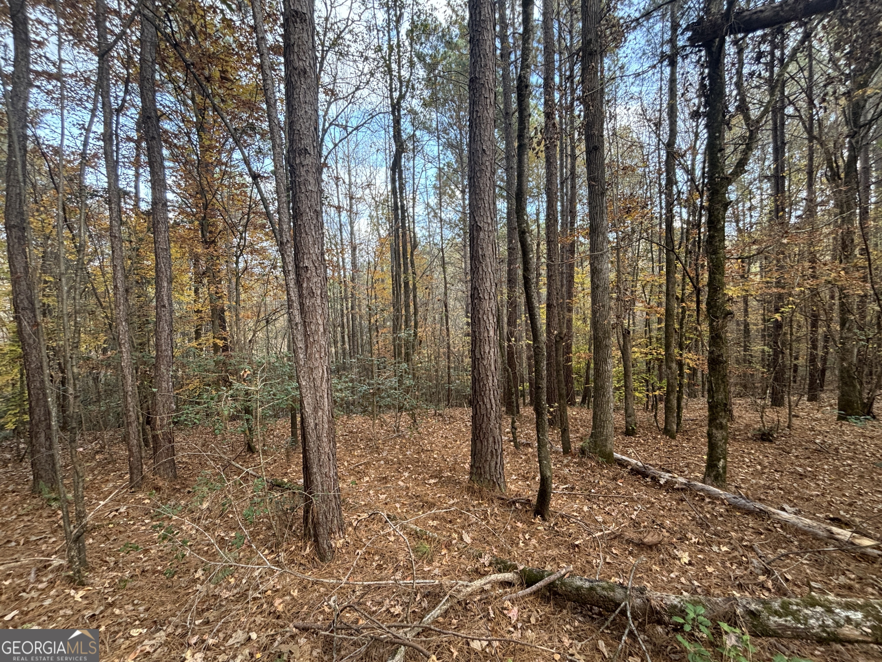 0 Oconee Road Lot 4 Buckhead GA 30625