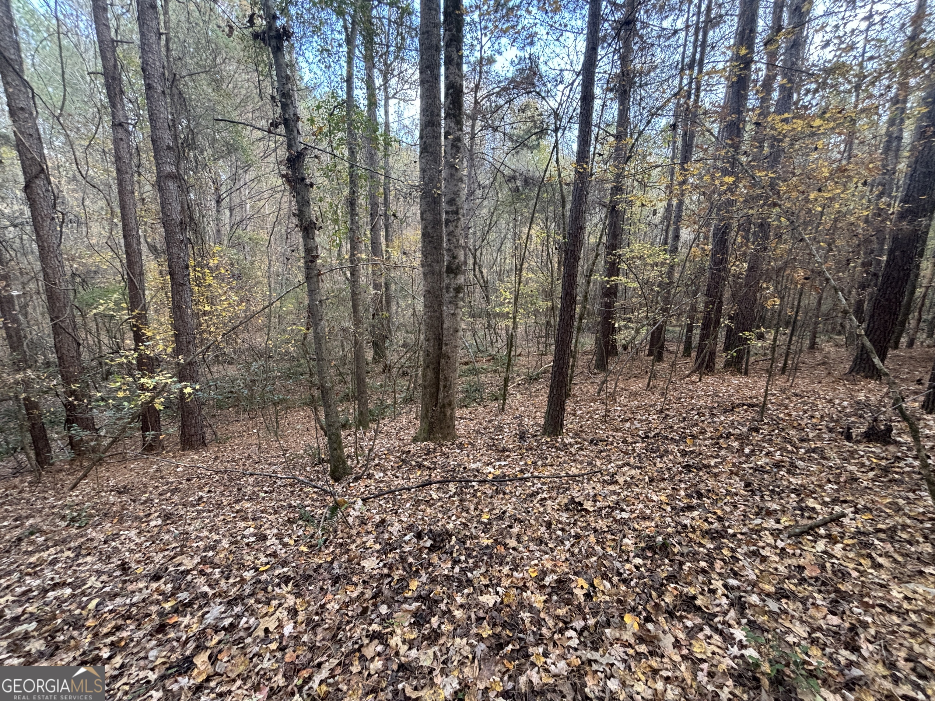 0 Oconee Road Lot 4 Buckhead GA 30625