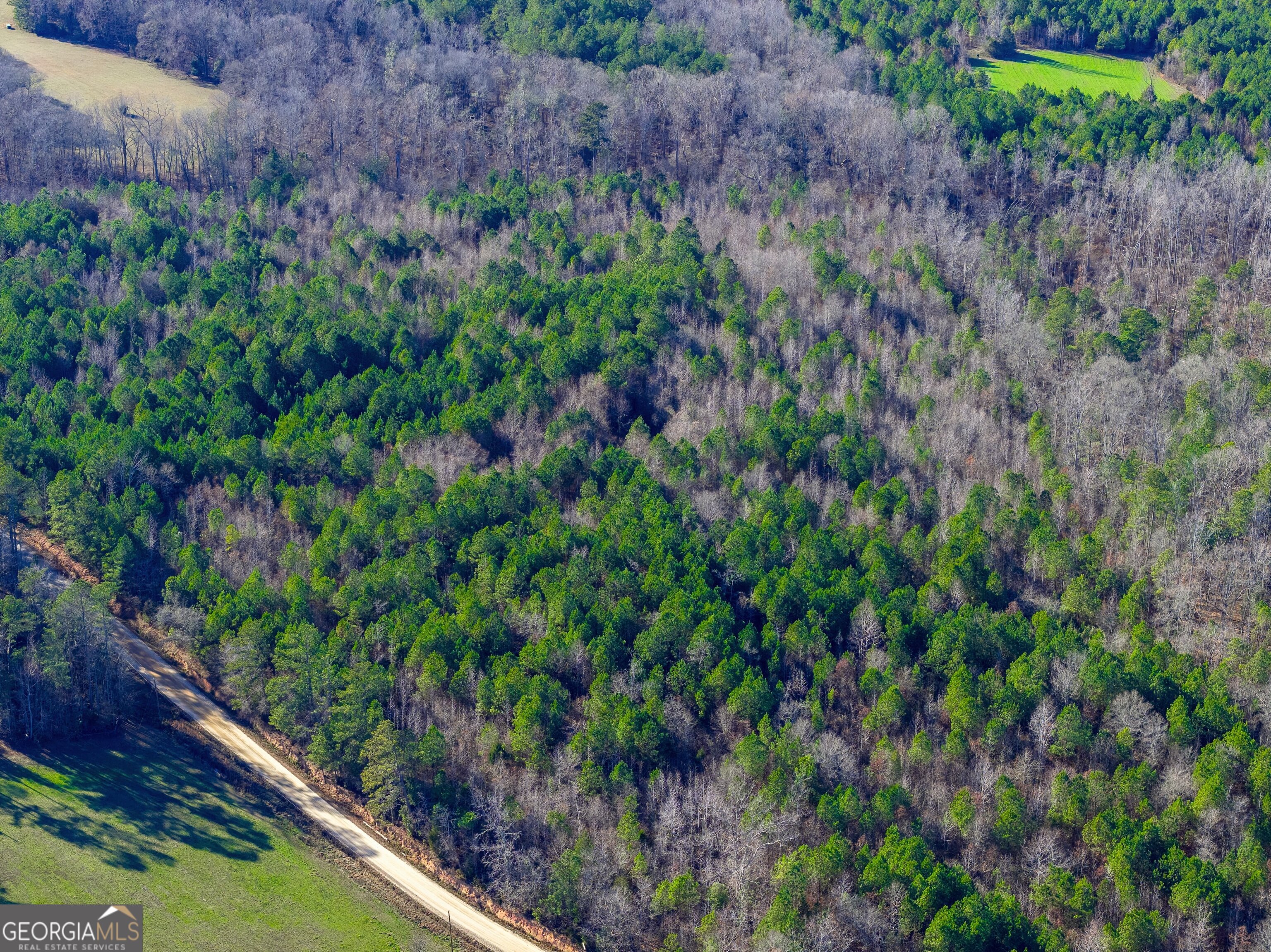 Tract 5 Dunbar School Road Williamson GA 30292