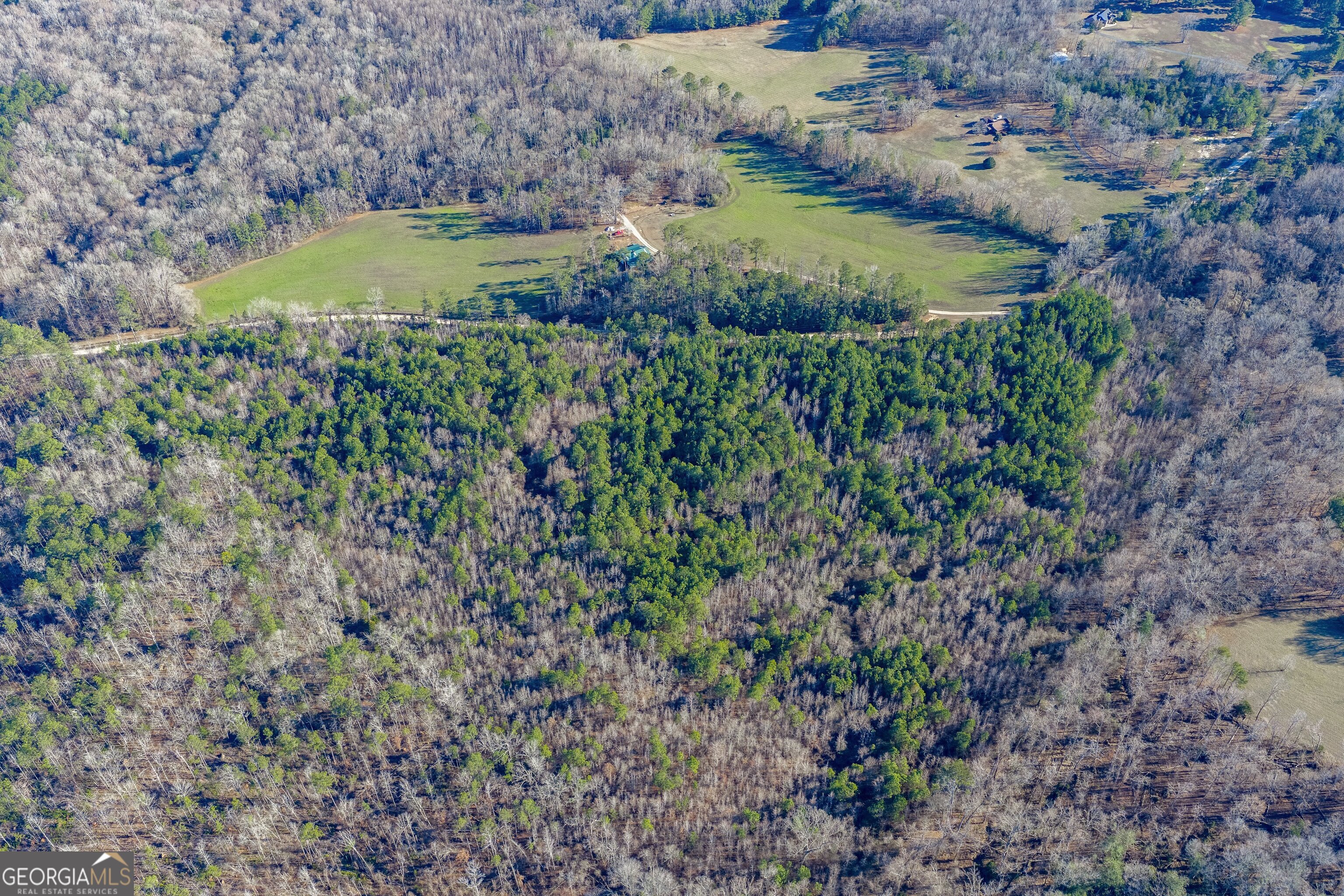 Tract 5 Dunbar School Road Williamson GA 30292