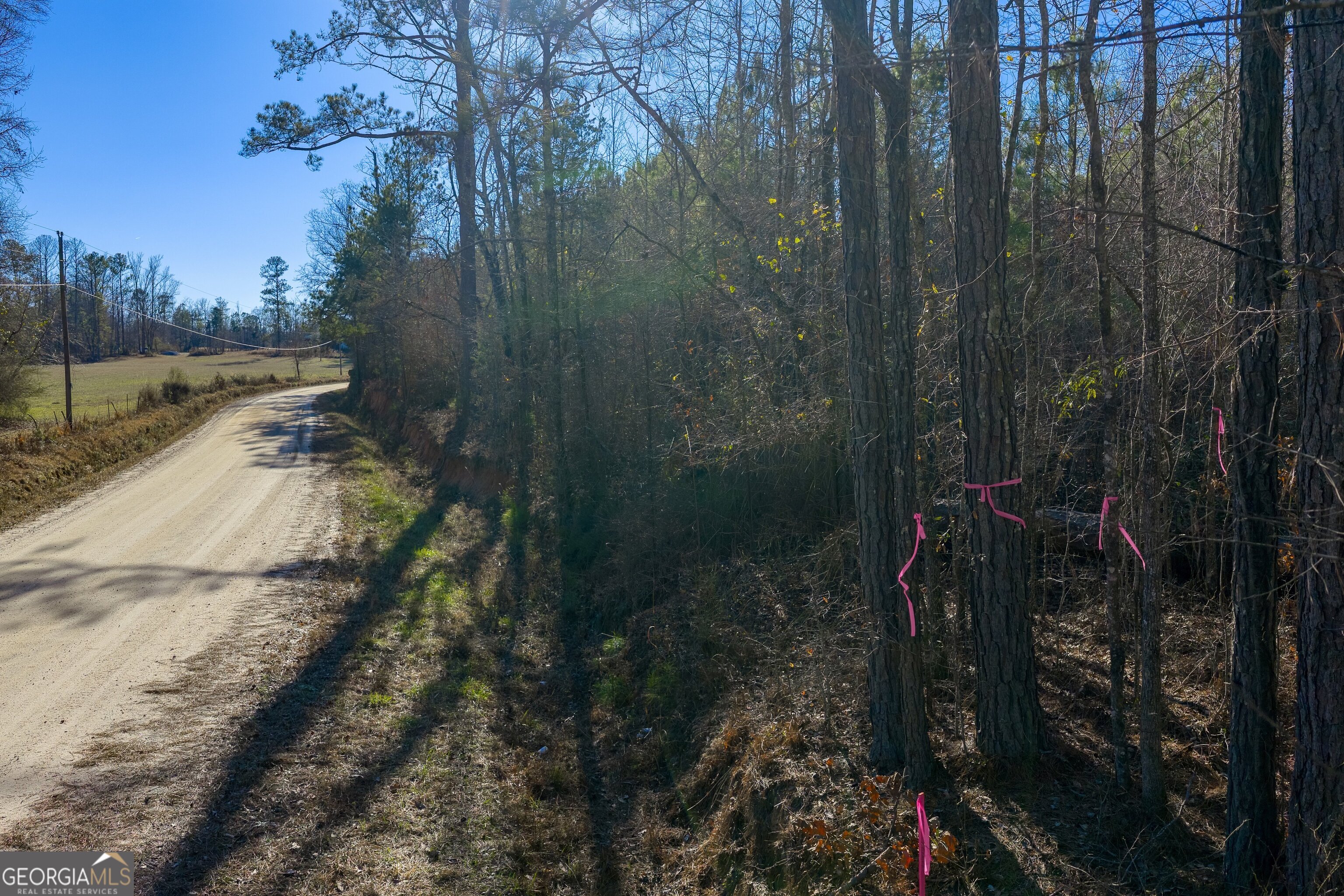 Tract 5 Dunbar School Road Williamson GA 30292