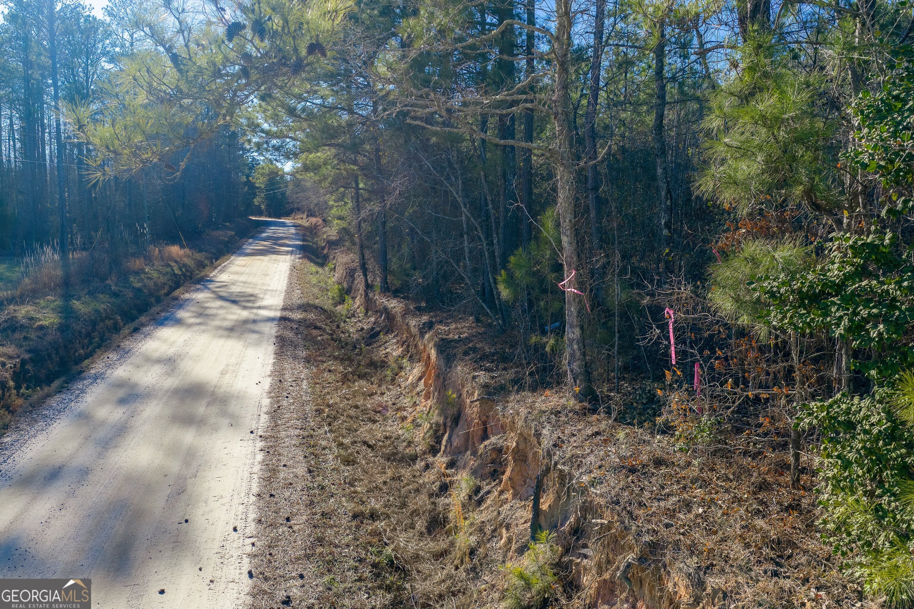 Tract 5 Dunbar School Road Williamson GA 30292