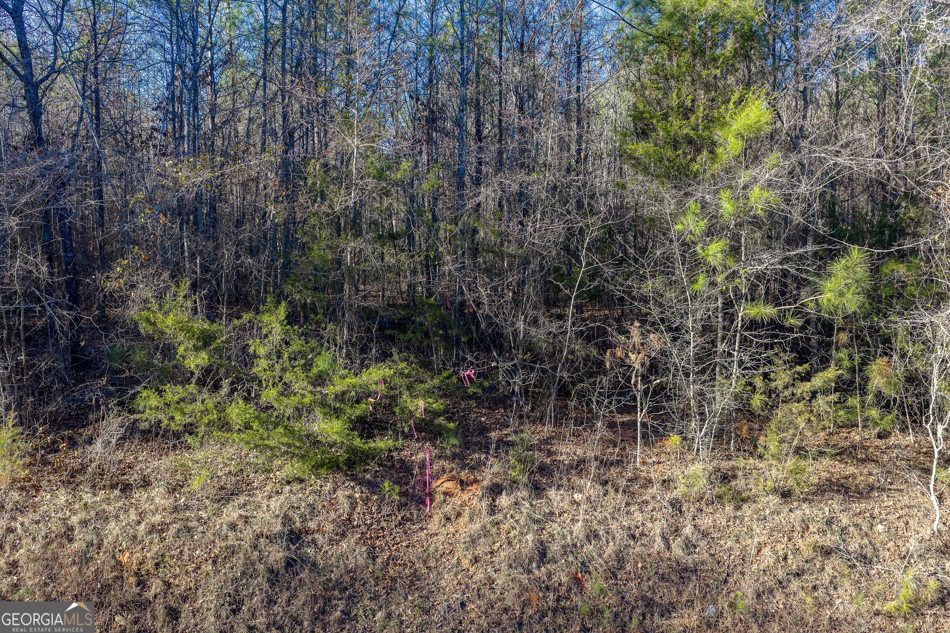 Tract 5 Dunbar School Road Williamson GA 30292
