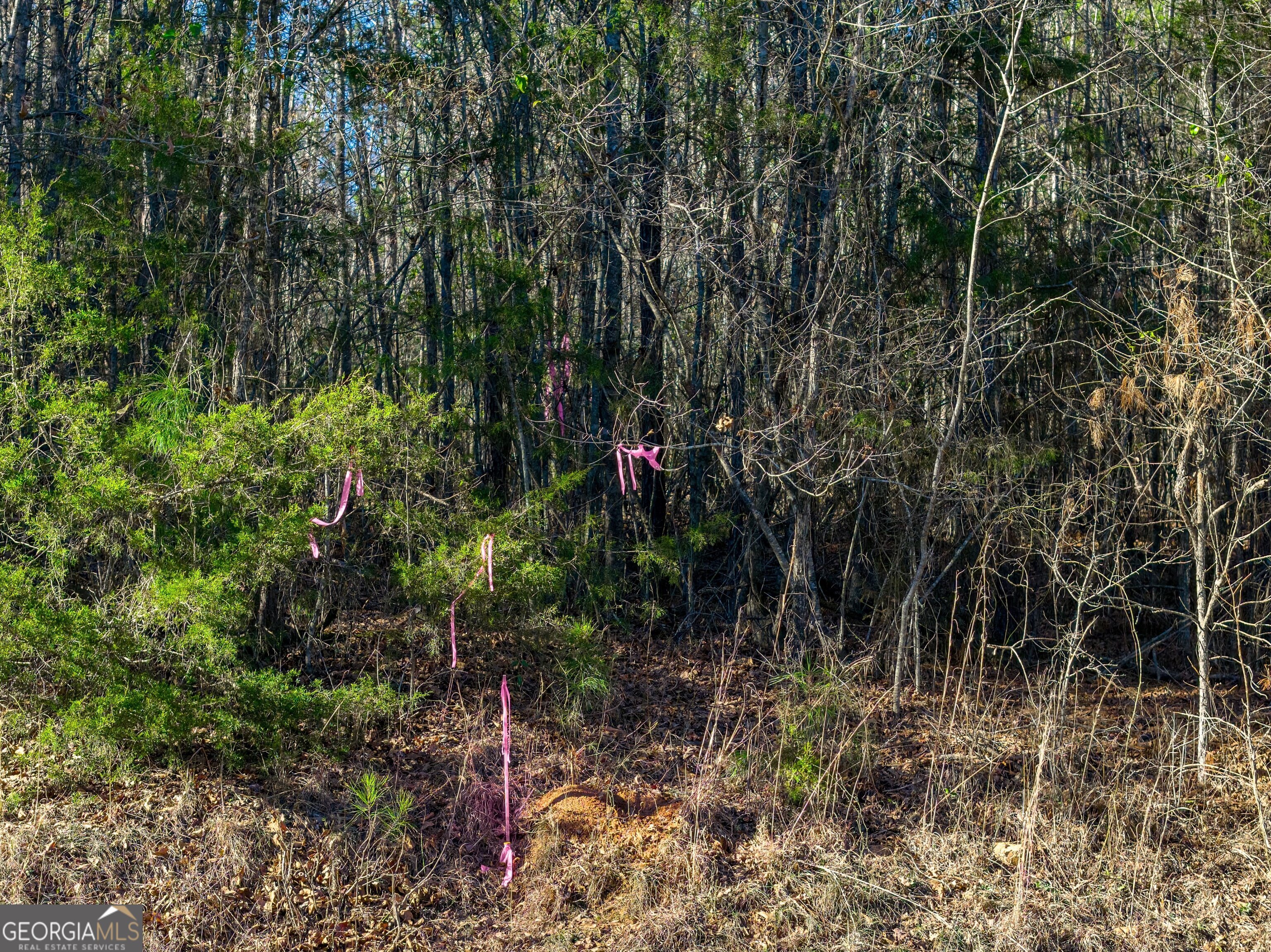 Tract 5 Dunbar School Road Williamson GA 30292
