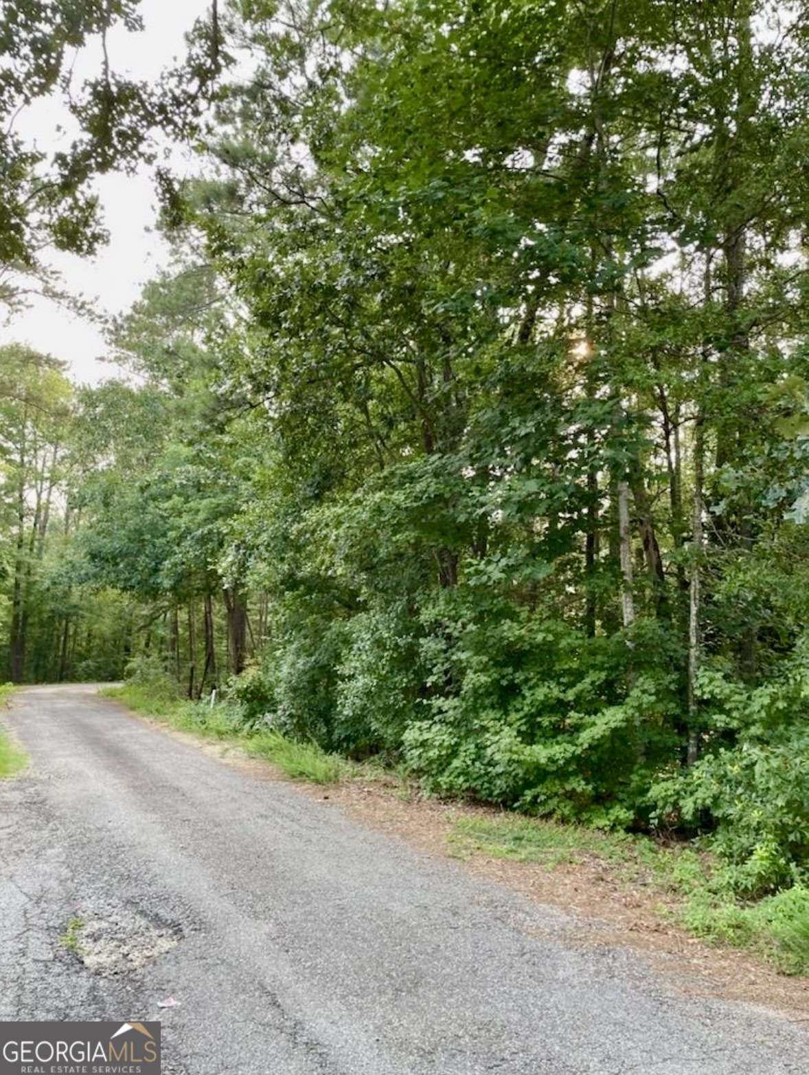 0 Davis Street Monticello GA 31064