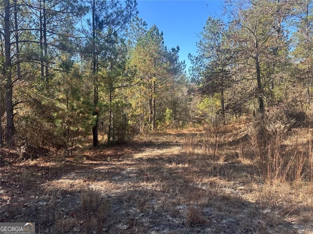 0 N Indian Trail Road Sandersville GA 31082