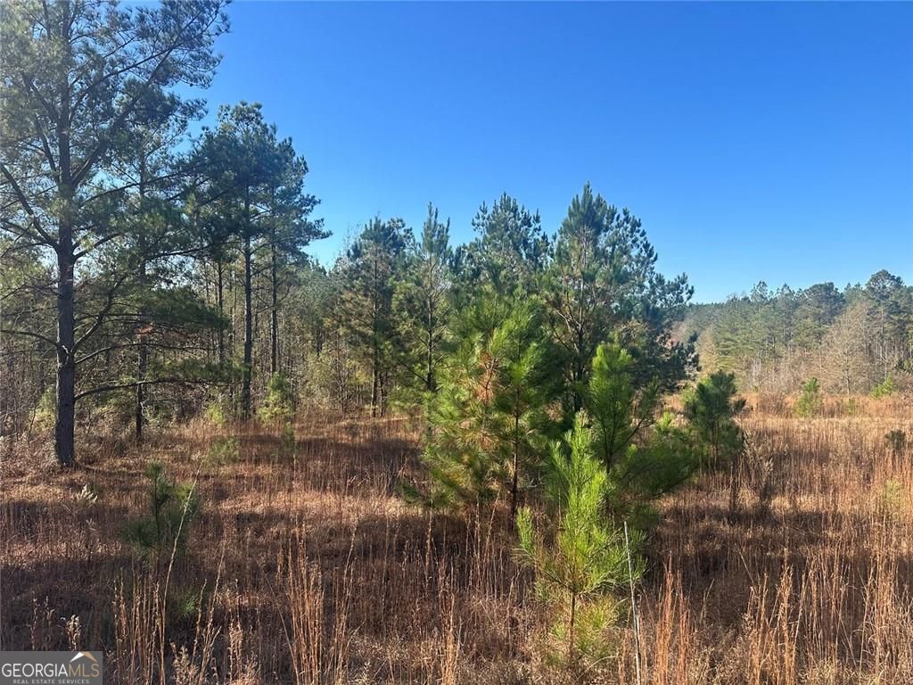 0 N Indian Trail Road Sandersville GA 31082