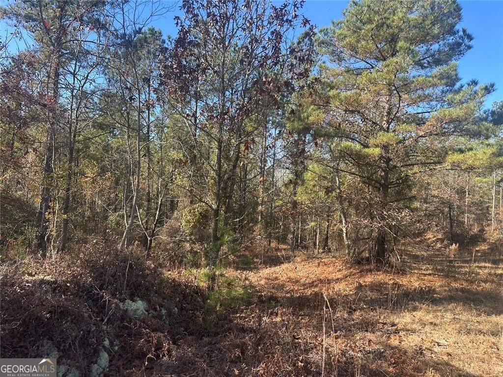 0 N Indian Trail Road Sandersville GA 31082
