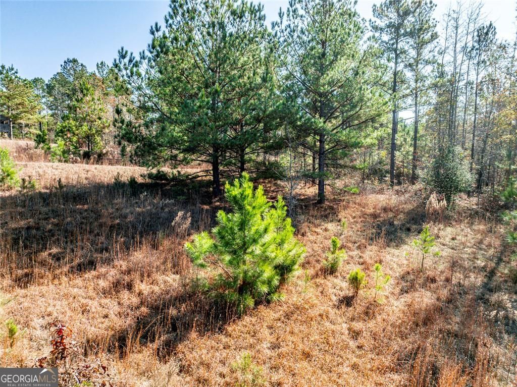 0 N Indian Trail Road Sandersville GA 31082