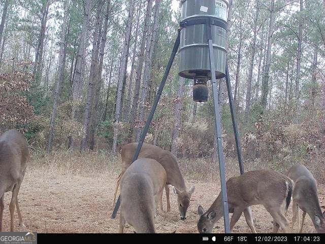 0 N Indian Trail Road Sandersville GA 31082