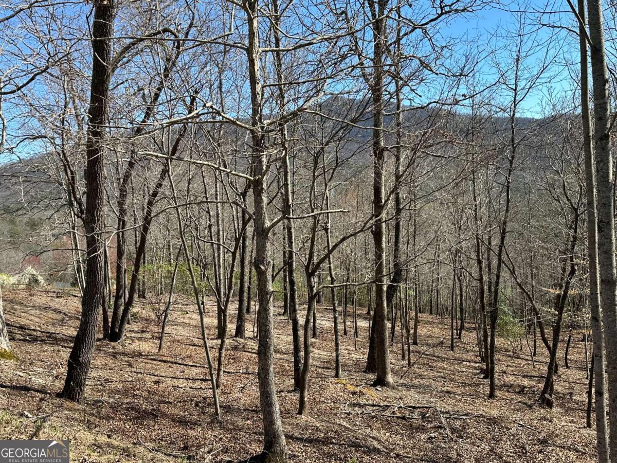 Lot 11 Asheland Cove Young Harris GA 30582