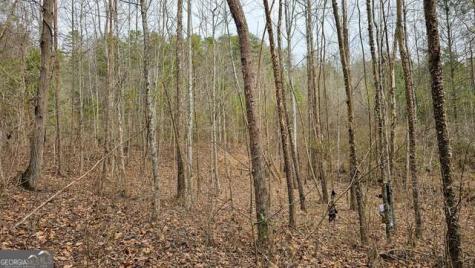 0 Bannockburn Circle Clayton GA 30525