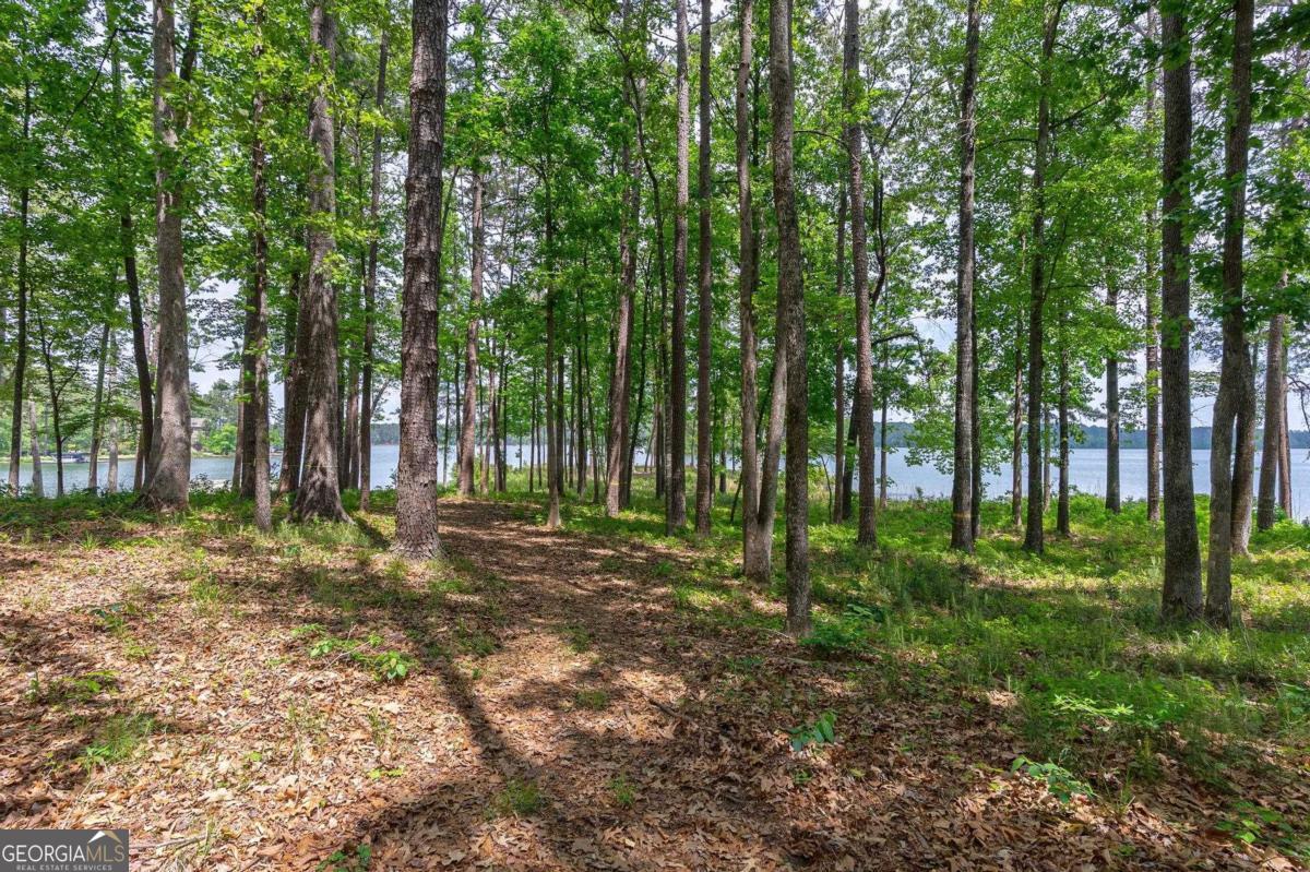 1221 Curtright Place Greensboro GA 30642