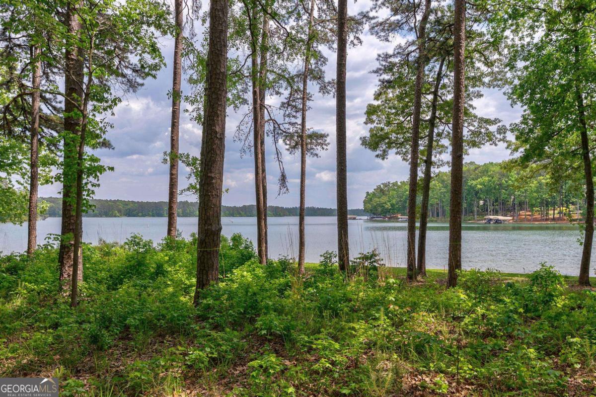 1221 Curtright Place Greensboro GA 30642