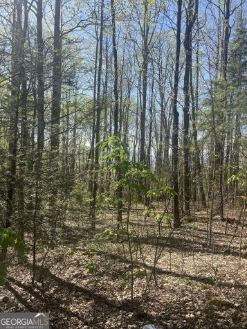 0 Happy Hill Scaly Mountain NC 28775