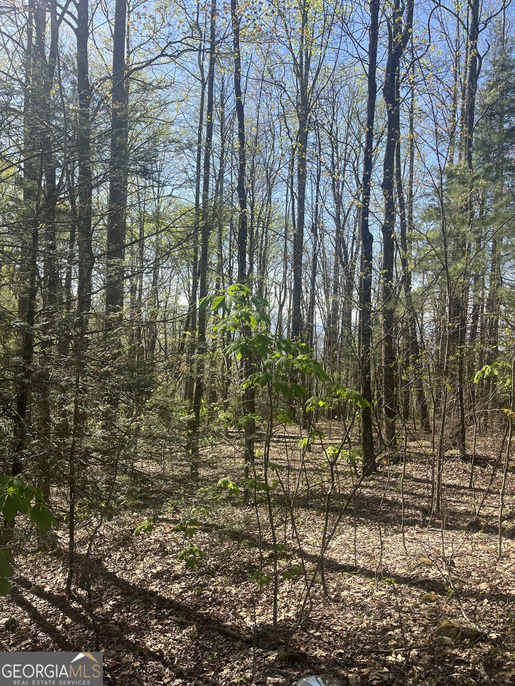 0 Happy Hill Scaly Mountain NC 28775
