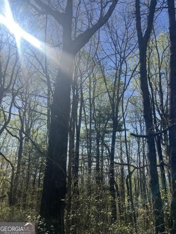 0 Happy Hill Scaly Mountain NC 28775