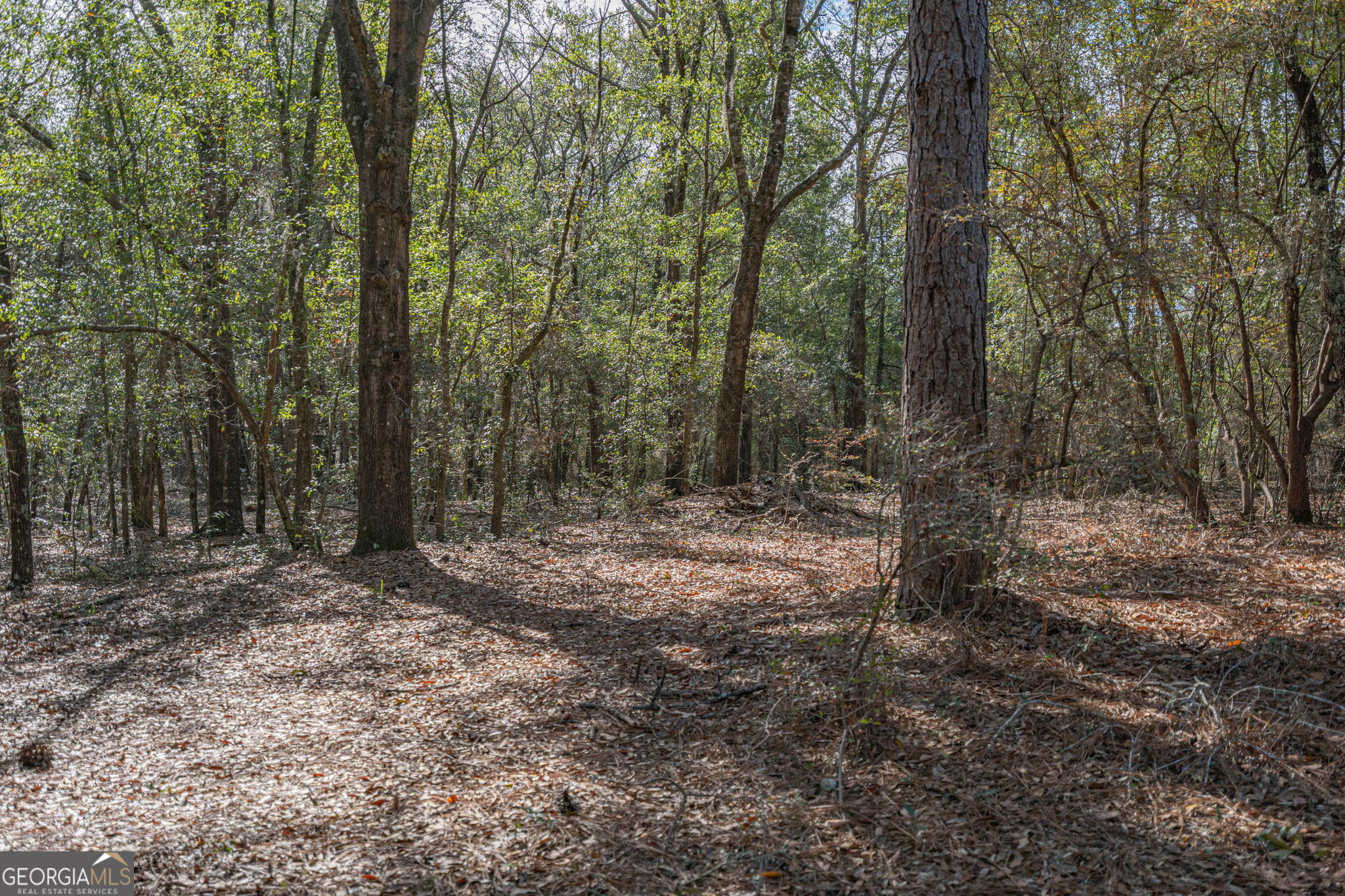 164 Holly Drive Eden GA 31307