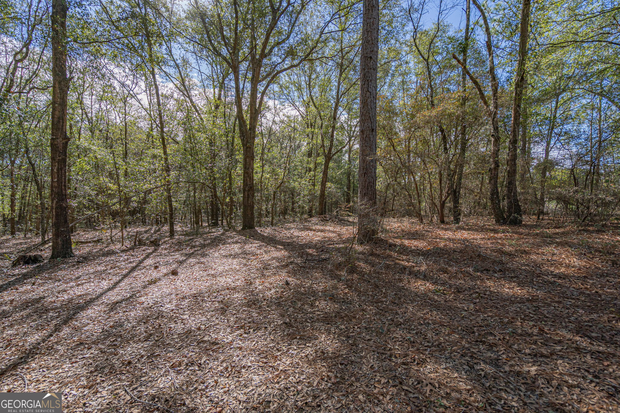 164 Holly Drive Eden GA 31307
