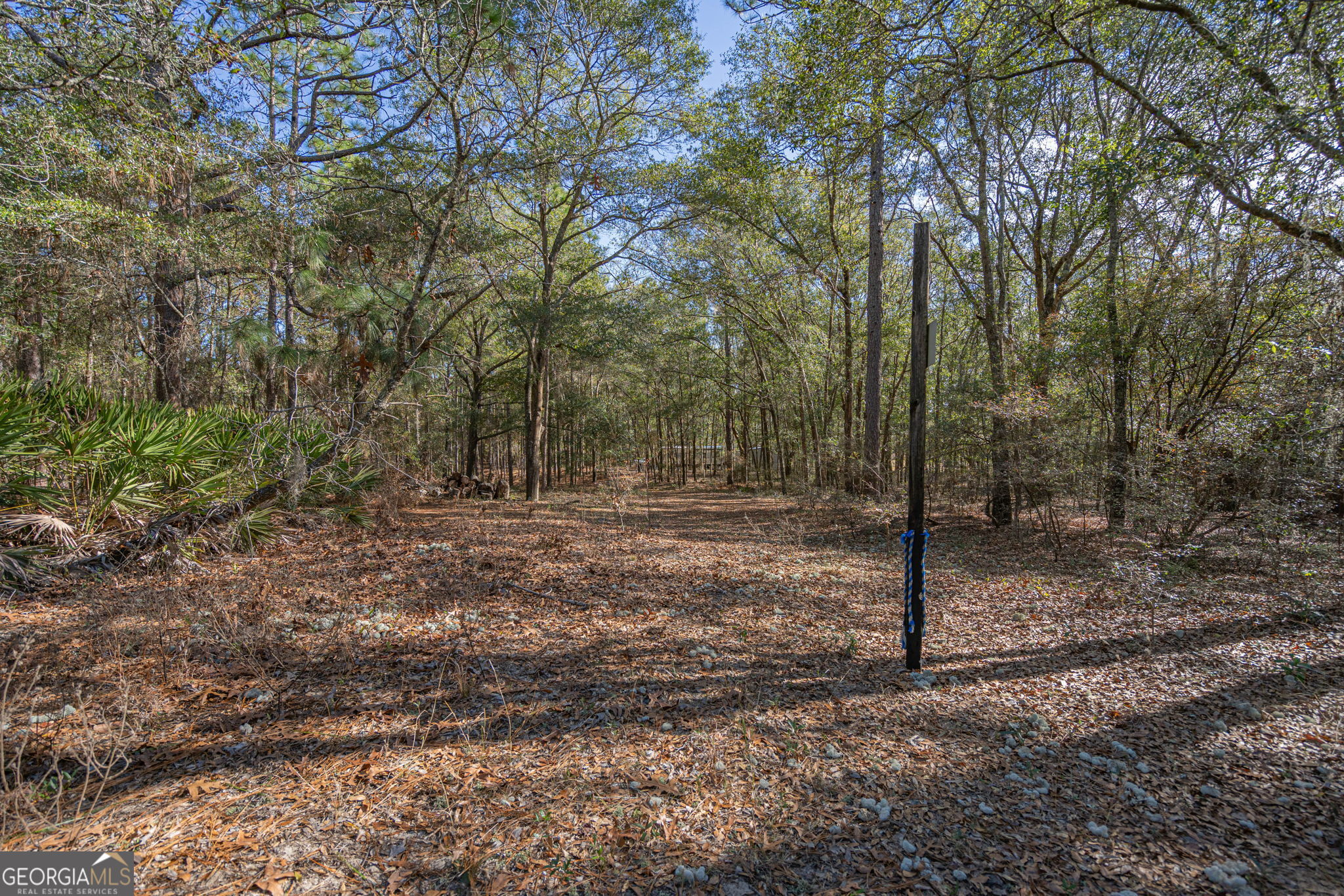 164 Holly Drive Eden GA 31307