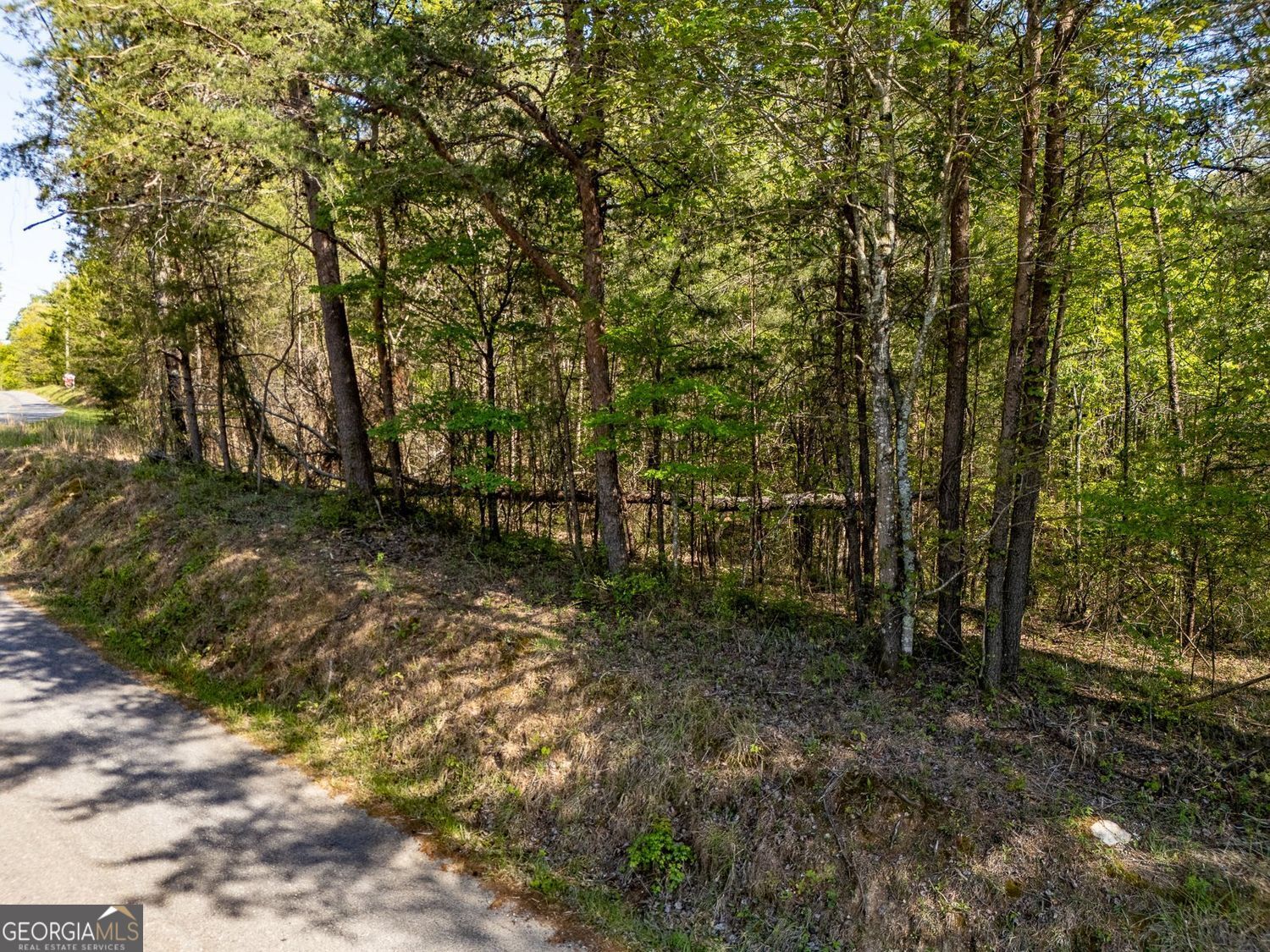 0 Talc Mine Road Jasper GA 30143