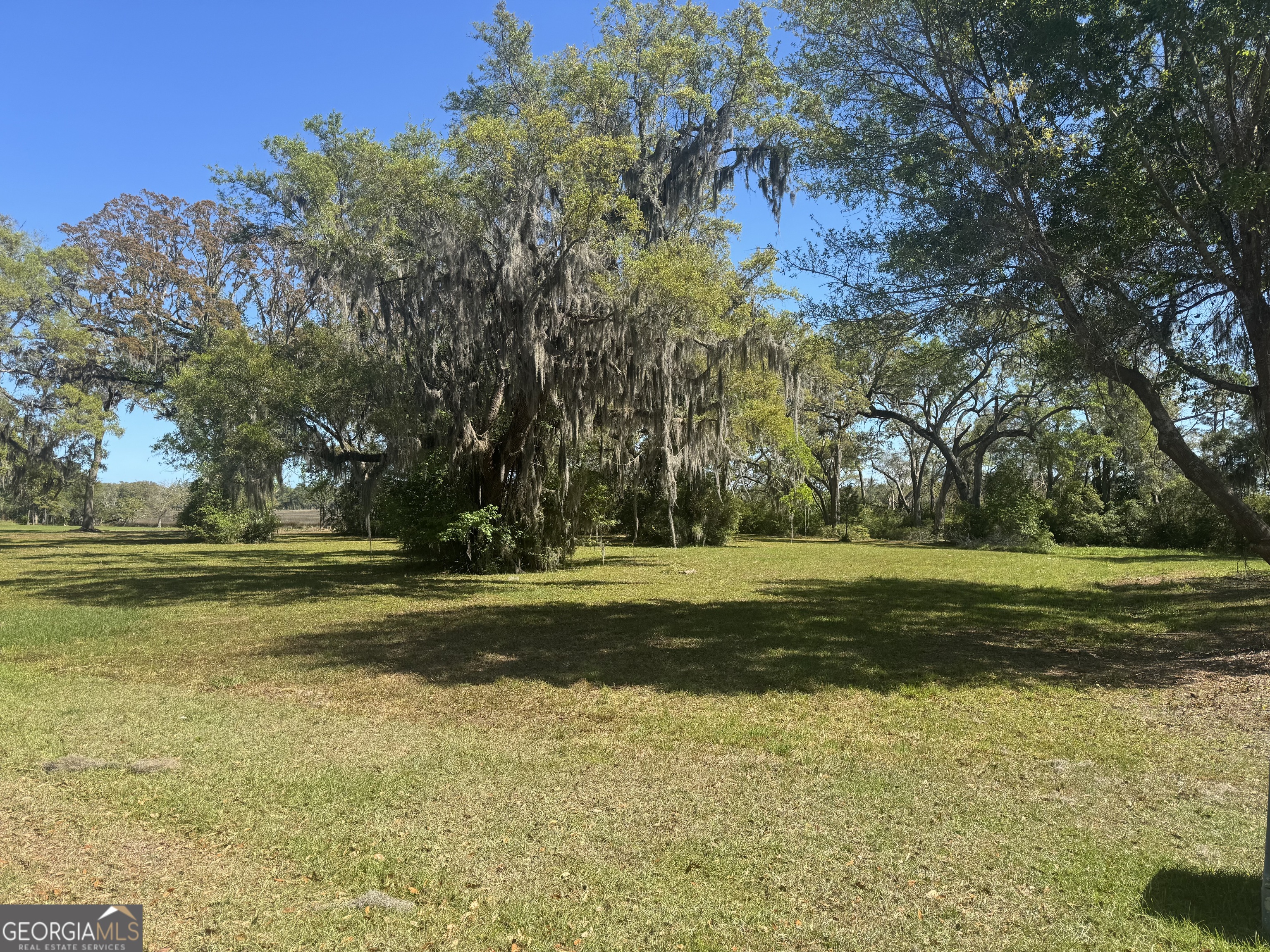 Lot 38 Coopers Point Drive NE Townsend GA 31331