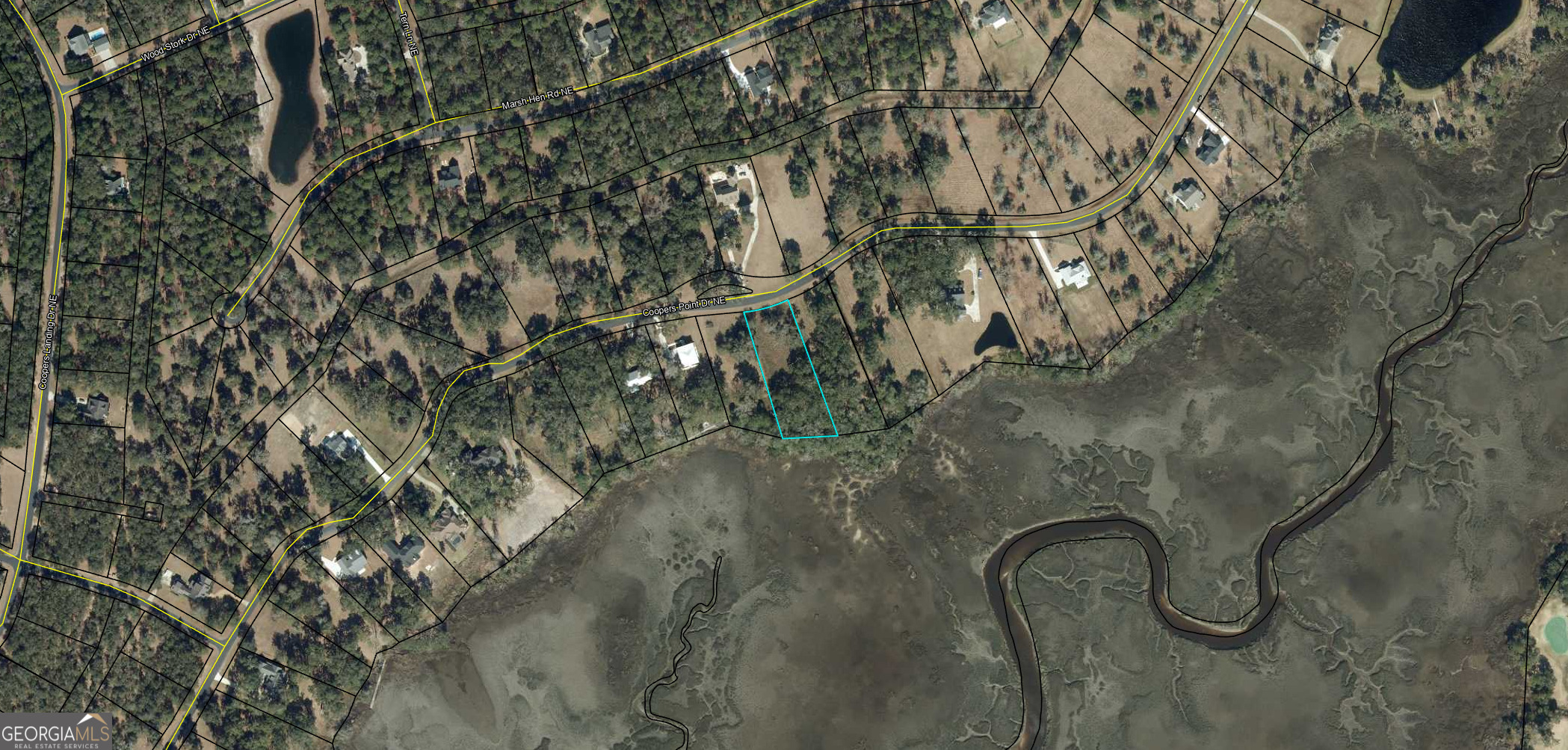 Lot 38 Coopers Point Drive NE Townsend GA 31331