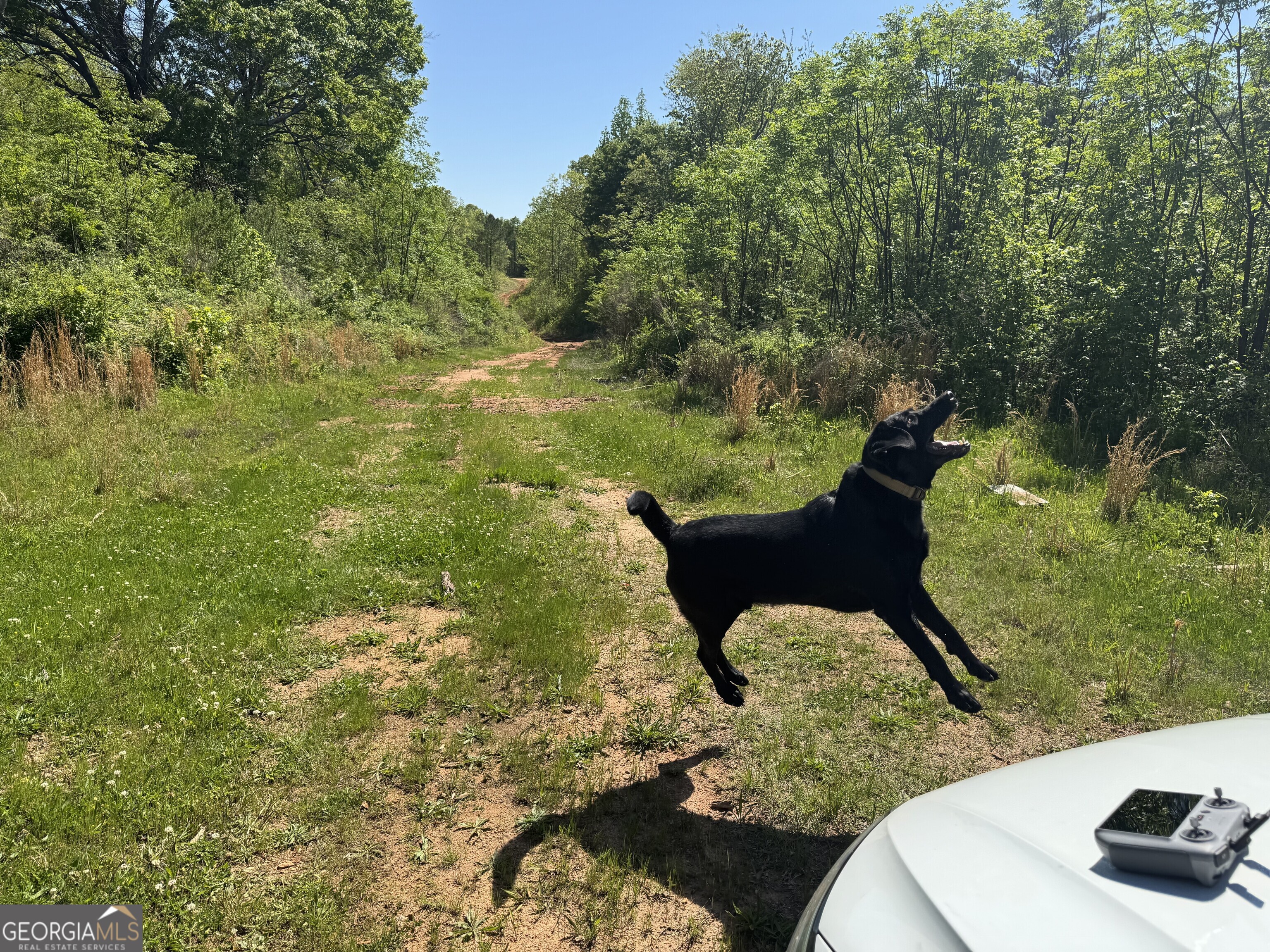 0 Us 53 Highway Bogart GA 30622