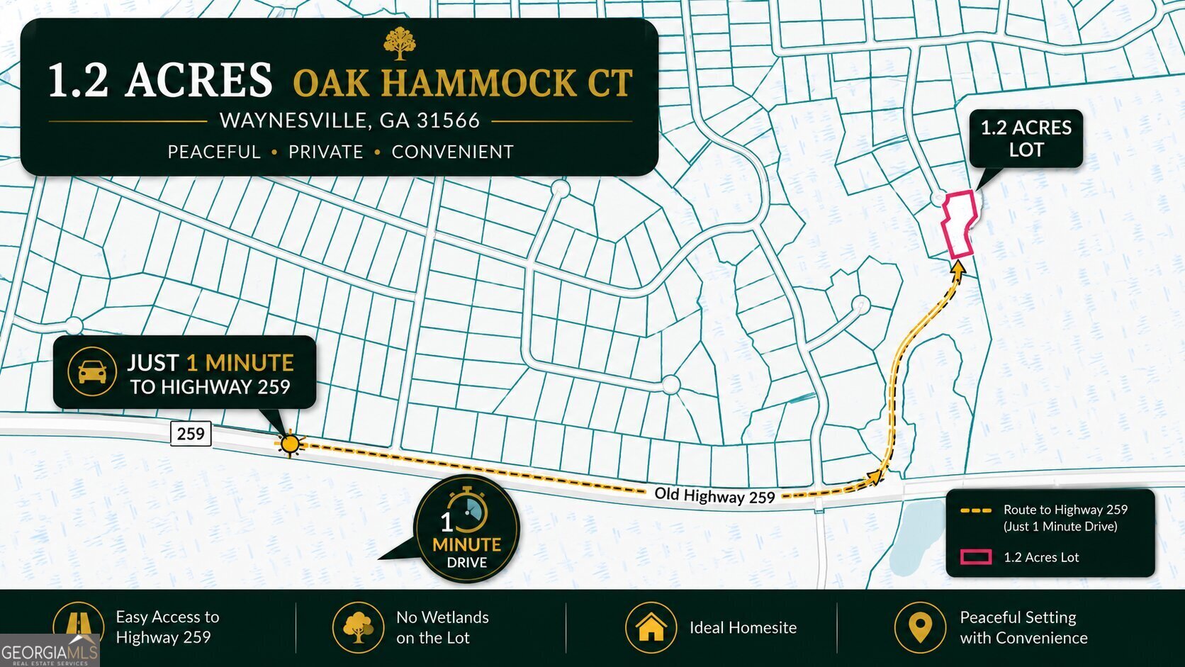 0 Oak Hammock Court Waynesville GA 31566