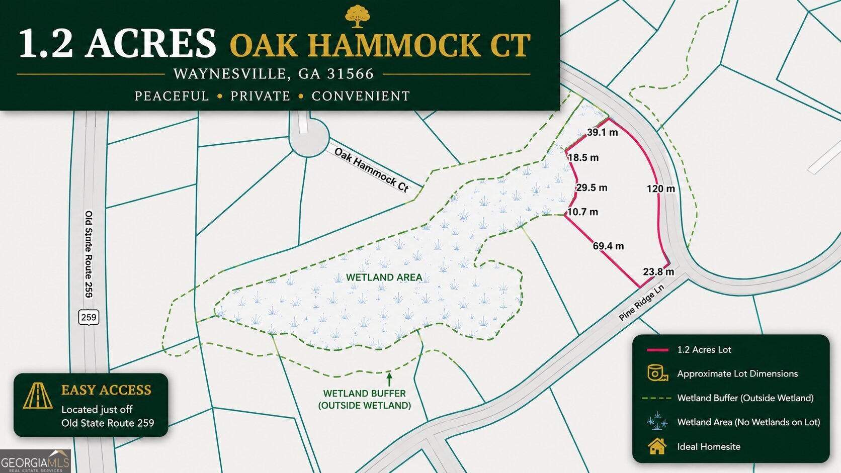 0 Oak Hammock Court Waynesville GA 31566