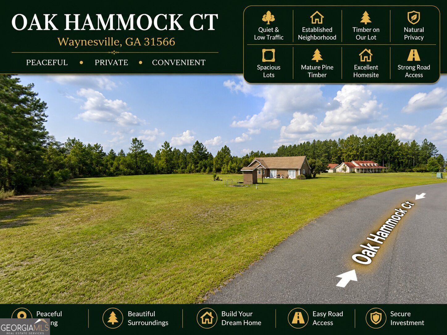 0 Oak Hammock Court Waynesville GA 31566