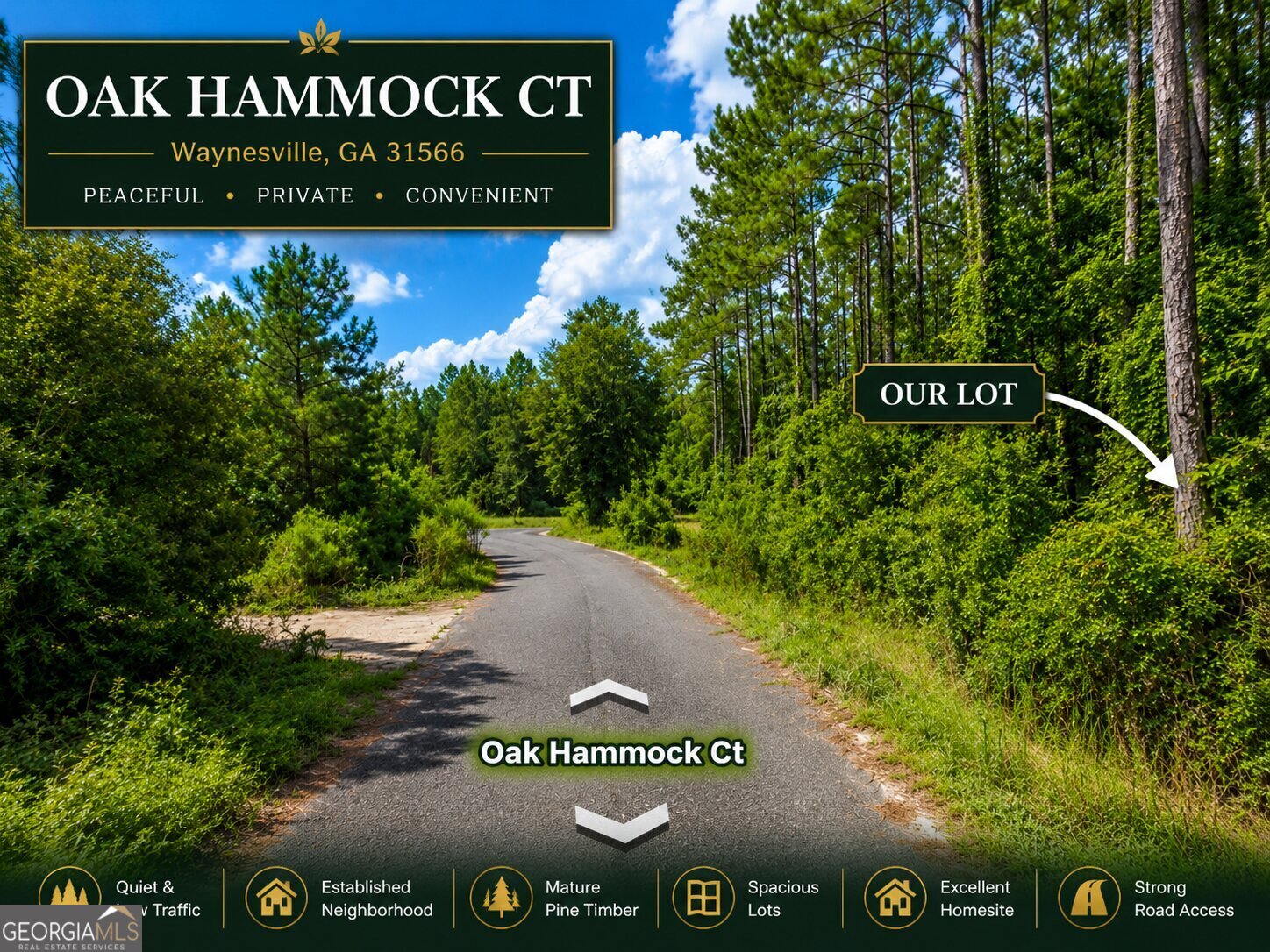 0 Oak Hammock Court Waynesville GA 31566
