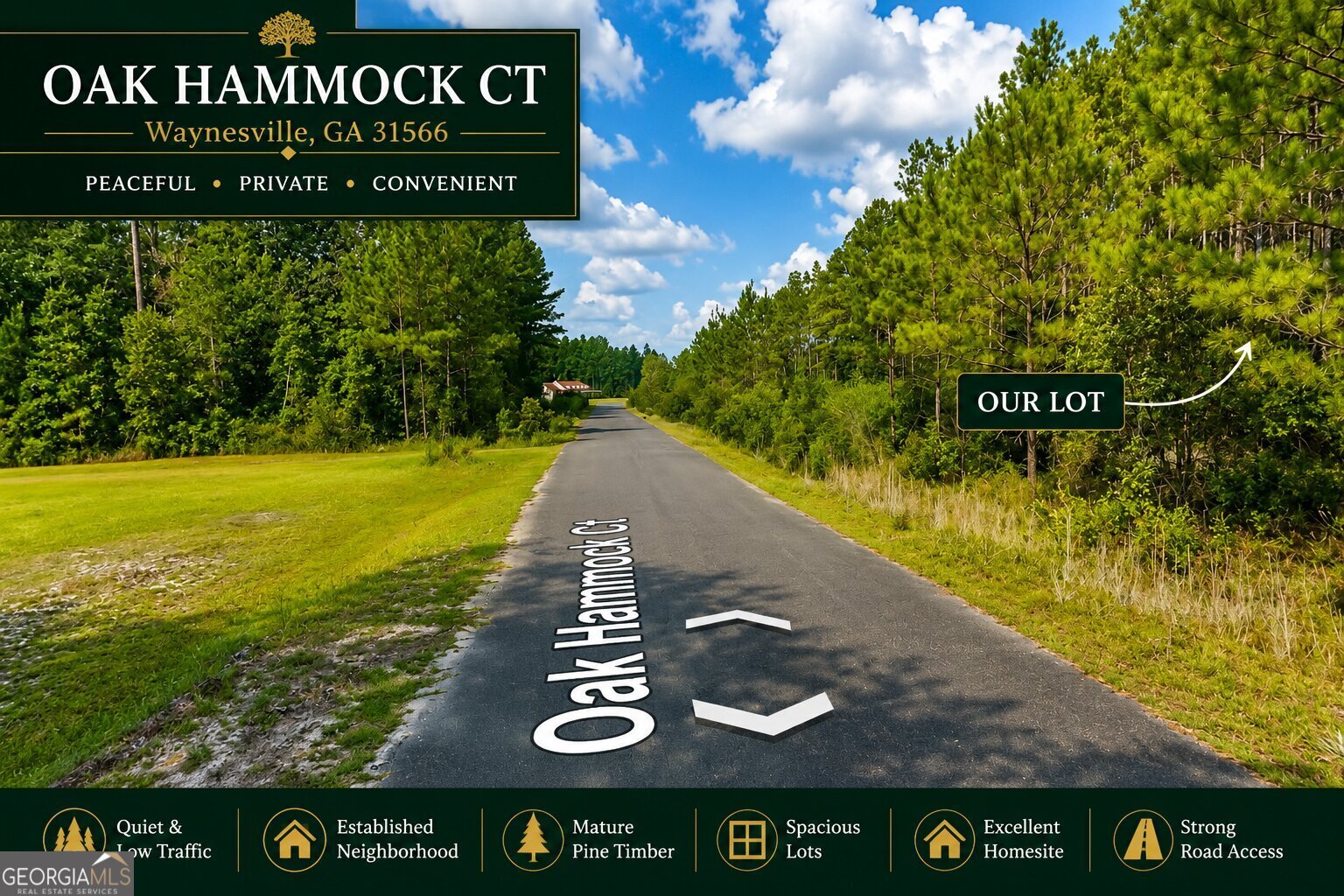 0 Oak Hammock Court Waynesville GA 31566