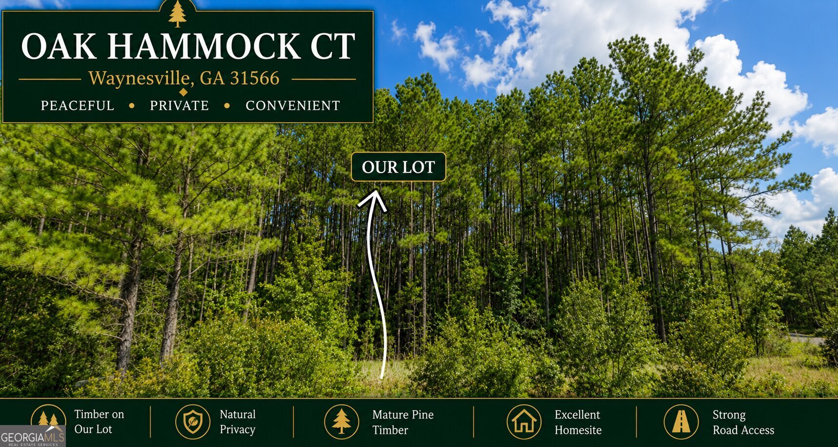 0 Oak Hammock Court Waynesville GA 31566
