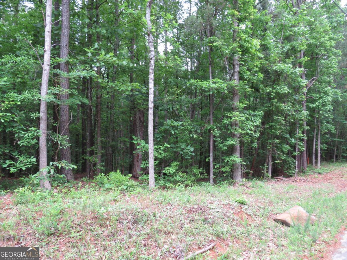 0 Doke Cohran Road Dallas GA 30157